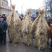 Zobacz