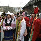Zobacz