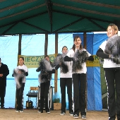 Zobacz