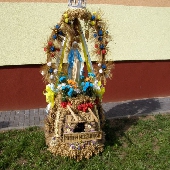 Zobacz