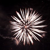 Zobacz