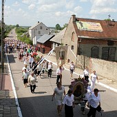 Zobacz