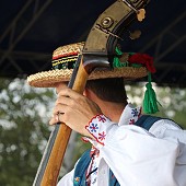 Zobacz