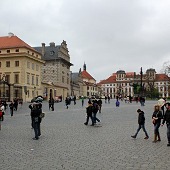 Zobacz