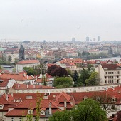 Zobacz
