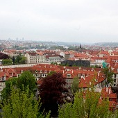 Zobacz
