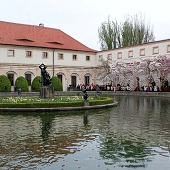 Zobacz
