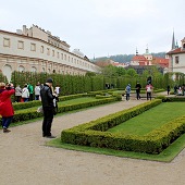 Zobacz