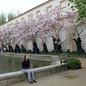 Zobacz
