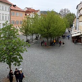 Zobacz