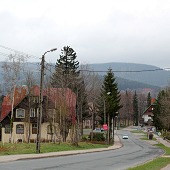 Zobacz