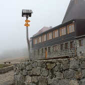 Zobacz