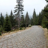 Zobacz