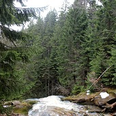 Zobacz