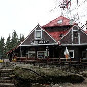 Zobacz