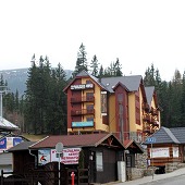 Zobacz