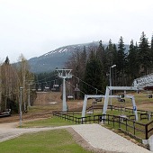Zobacz
