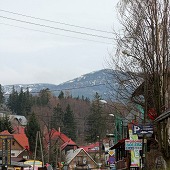 Zobacz