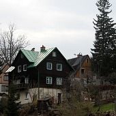Zobacz