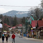 Zobacz