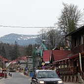 Zobacz