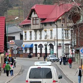 Zobacz