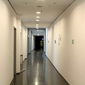 Zobacz