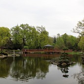 Zobacz