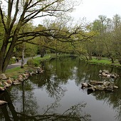 Zobacz