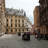 Zobacz