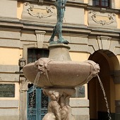 Zobacz