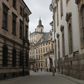 Zobacz