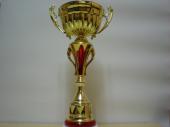 II Otwarte Mistrzostwa Gminy Radziw w Tenisie Stoowym