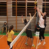 Zobacz